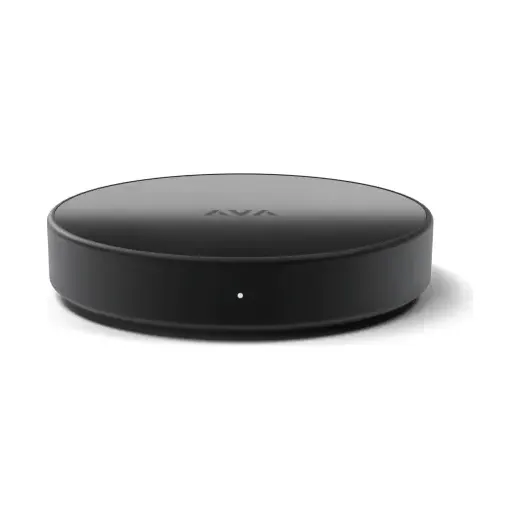 AVA Nano Brain