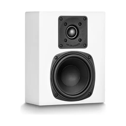 M&K Sound D85