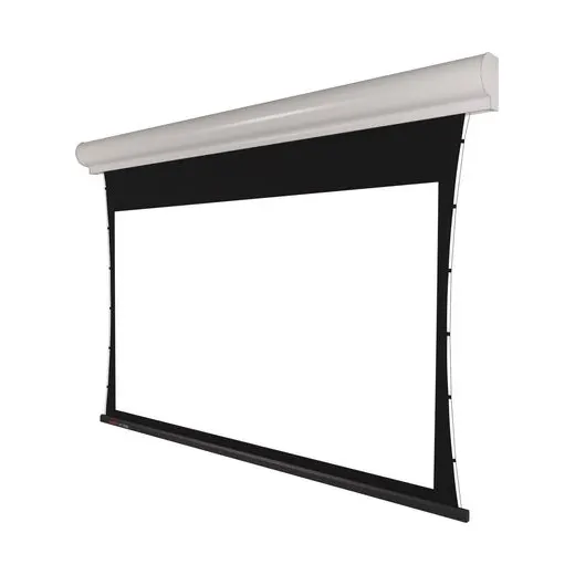 MS2 - Motorleinwand für Decke und Wand