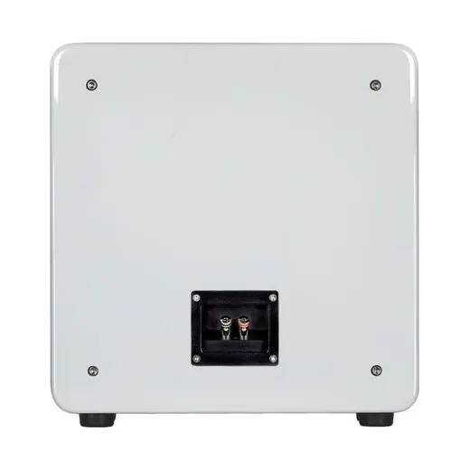 Wisdom Audio S10 Subwoofer – Ansicht 10